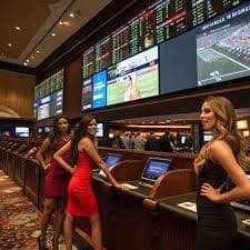 pkbet pkbet